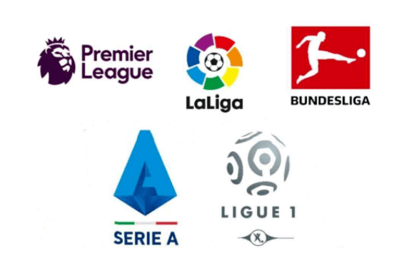 臂展和灵活 臂展和灵活